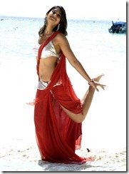 ileana beach pics 13