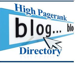 the purpose of directory submission for Blog|websites