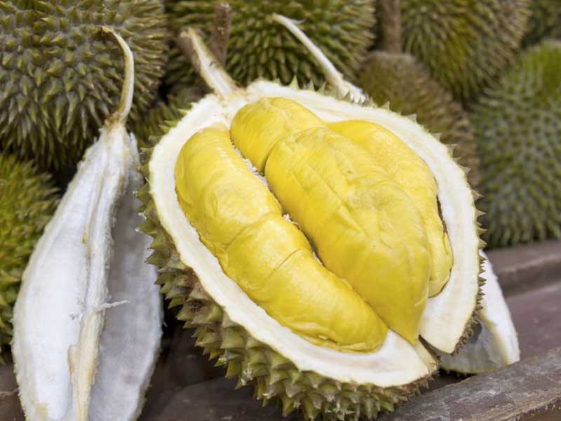 Daftar Nama Buah  Inggris Indonesia A Sampai Z www buahaz com