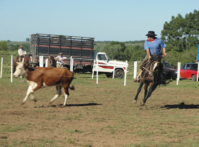 Parque de rodeios Tradição realiza grande evento