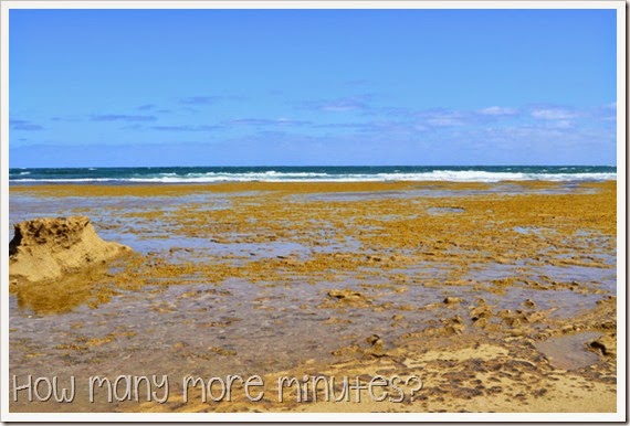 Point Lonsdale ~ How Many More Minutes?