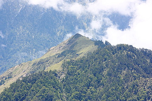 SUTjY