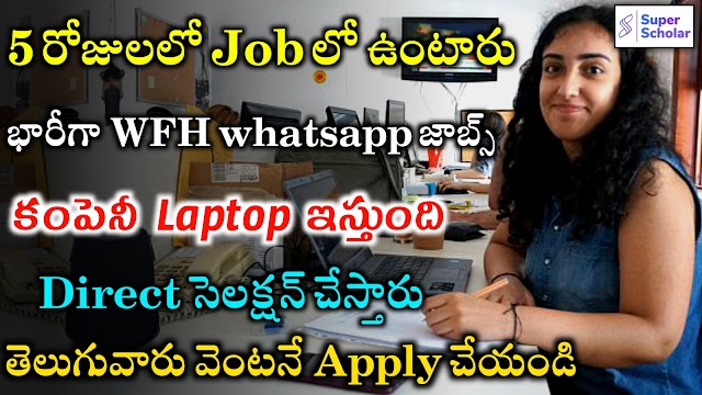 Super Scholar Work from Home Jobs Recruitment | Latest Jobs 2023