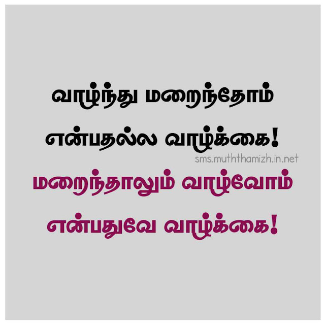 Encouraging Quotes in Tamil