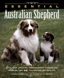 The Essential Australian Shepherd