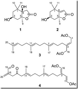 terpenos