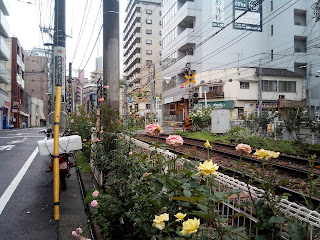 Toden Arakawa Line (都電荒川線 Toden Arakawa-sen)