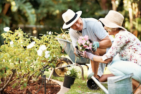 https://pitman.umcommunities.org/2022/03/21/5-safety-tips-for-seniors-who-garden/