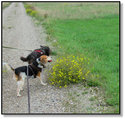 Emma und Lotte