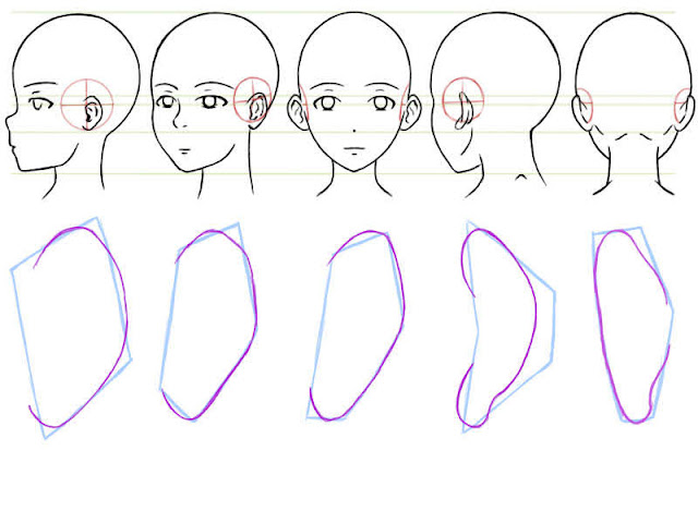 dessiner les contours des oreilles