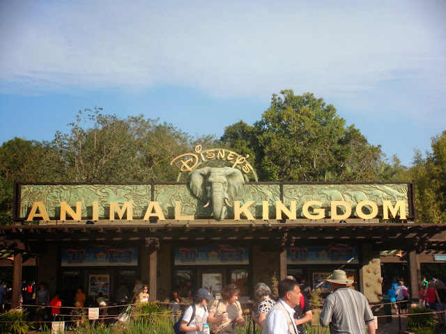 Disney's Animal Kingdom