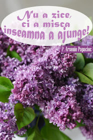#ArseniePapacioc #citat #florideliliac