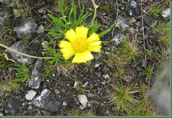 Roberts pics 128