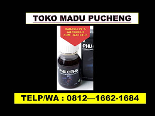 Madu Phuceng Harga Gresik, Madu Vitalitas Pria Gresik, Obat Kuat Phuceng Gresik, Phuceng Harga Gresik, Agen Madu Phuceng Gresik, Jual Madu Puceng Asli Gresik, Toko Madu Phuceng Gresik, Jual Madu Phuceng Asli Gresik, Madu Phuceng Asli Gresik,  Beli Madu Phuceng Gresik