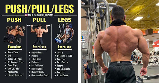 3 Day Push Pull Legs Workout