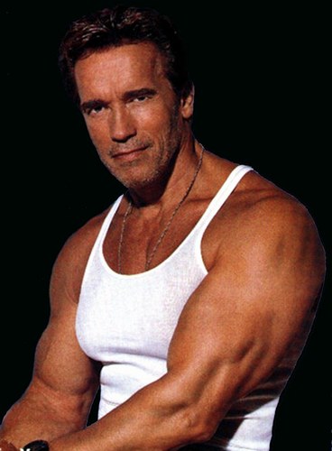 arnold schwarzenegger now and before. arnold schwarzenegger now and