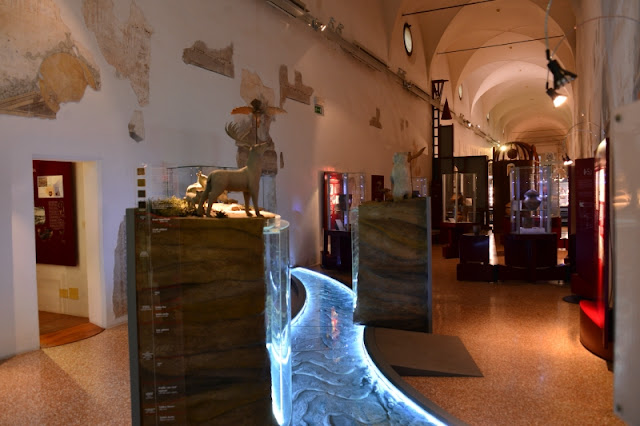 ROVIGO-MUSEO-GRANDI-FIUMI