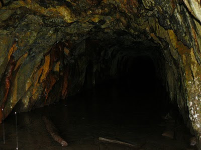 The first few metres of one of the Rhosydd adits