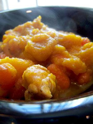 Butternut Carrot Chicken Soup/Stew, Recipes