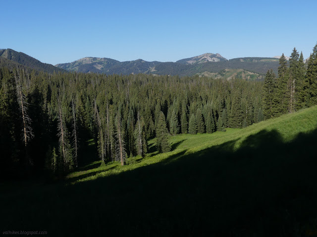 208: green hill and distant ridges