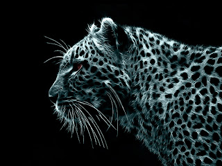 3D Leopard wallpaper