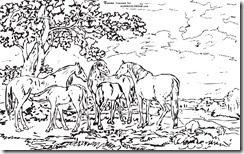 paisagem_passaros_flores_desenhos_imprimir_colorir_pintar (19)