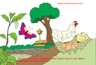 MATERI DAN KUNCI JAWABAN BUKU SISWA KELAS 3 SD TEMA 1 SUBTEMA 3 PEMBELAJARAN 4