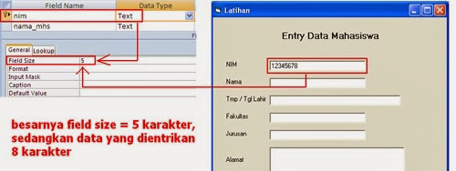 FAQ : Cara Mengatasi Run Time Error -2147217887 Multiple-Step Opertion Generated Errors Pada Visual Basic 6.0