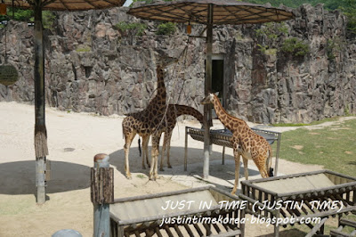 과천 동물원(서울대공원)