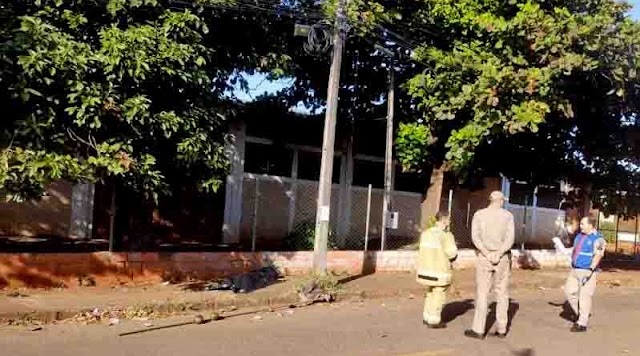 Homem morre enquanto colhia abacates, em Londrina