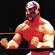 WWF WWE The Patriot