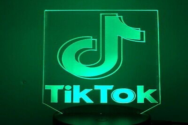 Aesthetic TikTok Icon