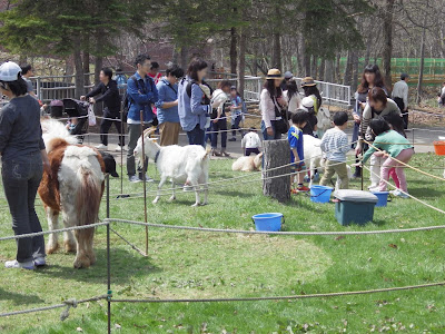 子どもの国　動物とのふれあい