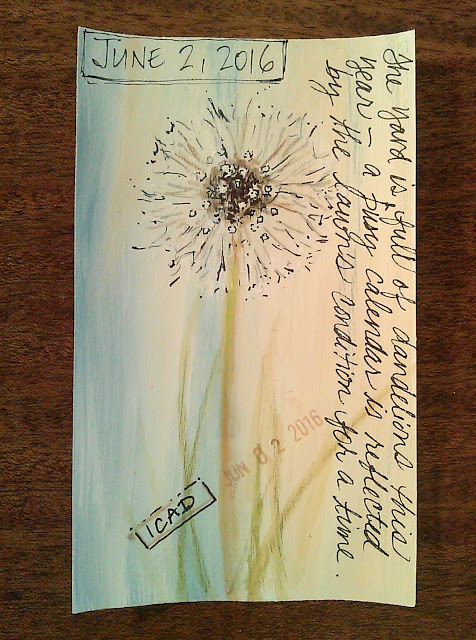 Card #10 Dandelion puff from our lawn, watecolor pencils and pens on gesso coated index card, Christy Sheeler Artist, ICAD 2016, Index Card A Day