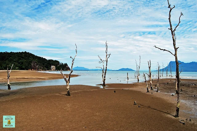 Parque Nacional de Bako (Borneo, Malasia)