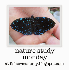 http://fisheracademy.blogspot.com/2014/02/nature-study-monday-squashing.html
