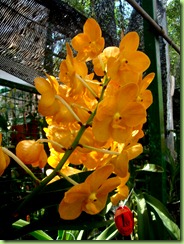 DSC00079