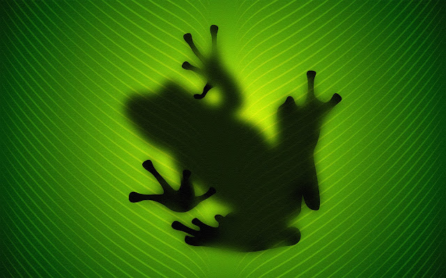 Frog behind the green leaf wallpaper