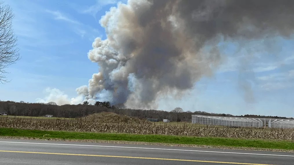 Brush Fires Understanding the Dangers and Prevention Strategies
