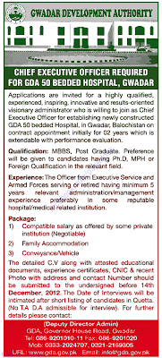 Jobs for CEO
