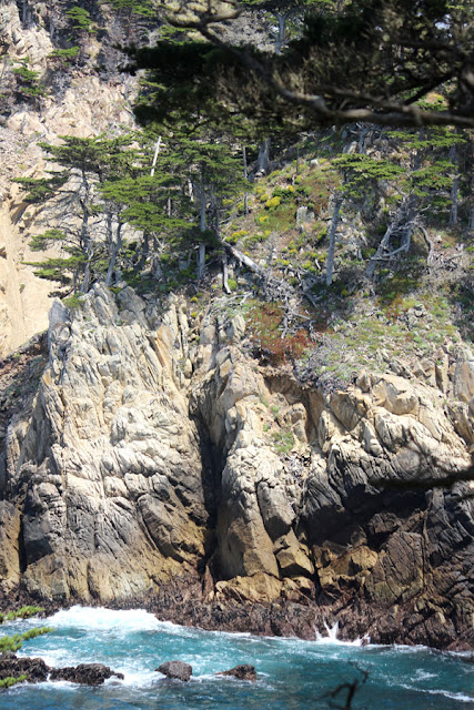 Point Lobos State Reserve, Cypress Trail, Headland Cove, Cypress Cove