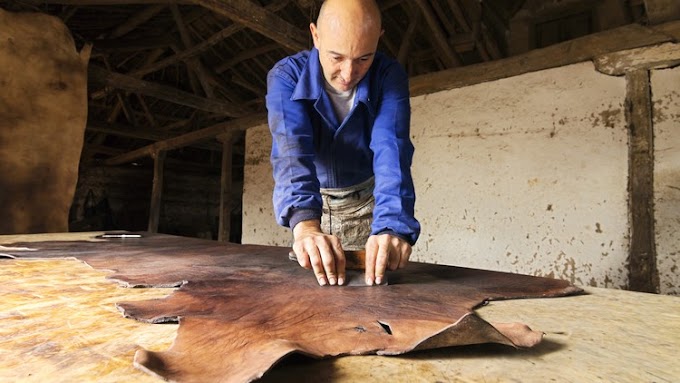 Identify And Analyse Leather And Materials For Footwear