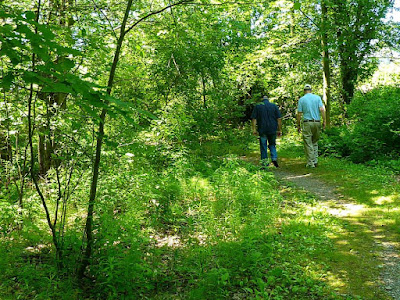 Two men walking side by side on a trail through a wooded area.