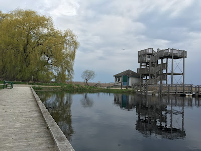 Marsh Boardwalk - Observation tower - Point Pelee