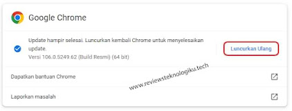 update browser google chrome secara otomatis