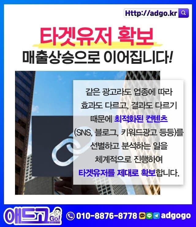 홍성읍백링크