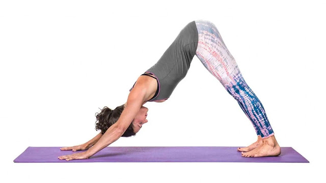Essential Yoga Poses for Beginners
