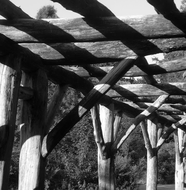 Wooden arbor in black and white