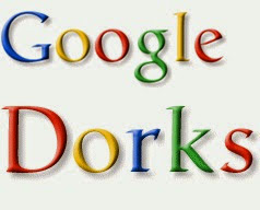 Apa itu Google Dork dan Fungsinya di Internet ?