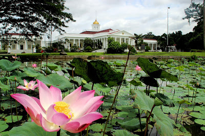 kebun raya bogor